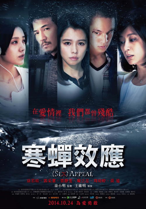 意大利商科文凭证书